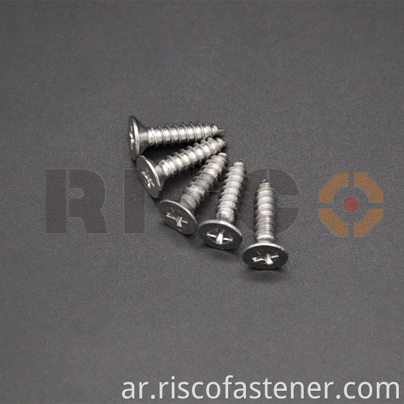 Csk Head Selftapping Screw